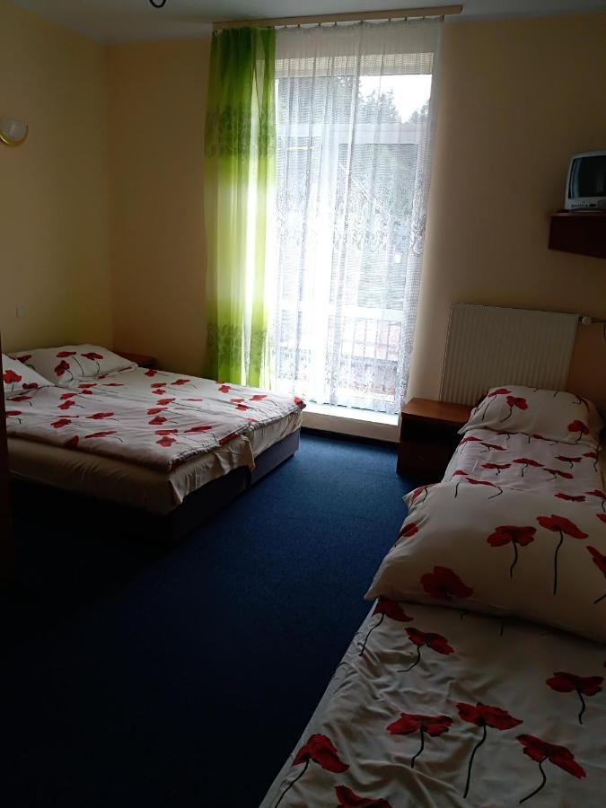 Hotel Osrodek Wypoczynkowy Ognisko Krynica-Zdrój Exterior foto